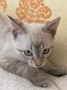 Tessy (5)